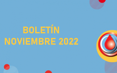 Boletín Noviembre 2022