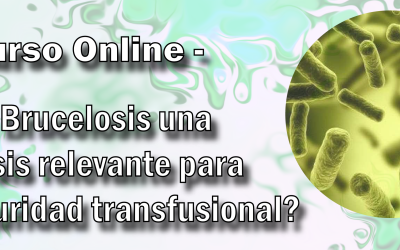 ¿Es la Brucelosis una zoonosis relevante para la seguridad transfusional?